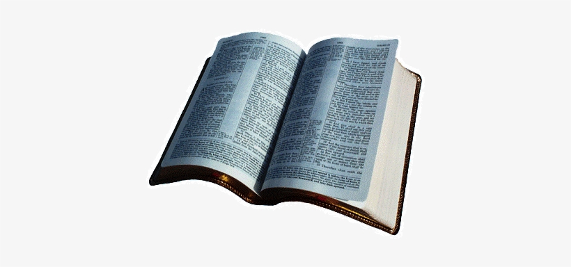 Http - //www - Portalsaofrancisco - Com - Br/alfa/setembro/dia - Today's Message, transparent png #2077588