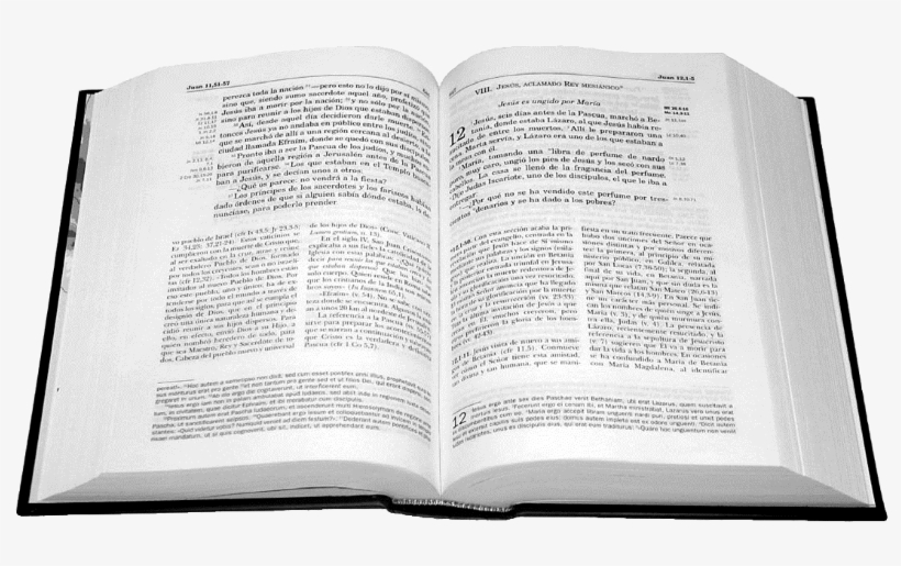 La Biblia Dice - Paper, transparent png #2077822