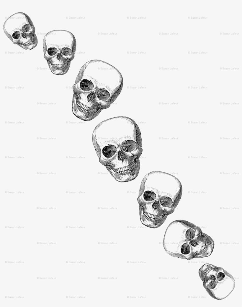 Vintager Schädel Trivet Töpfeuntersetzer, transparent png #2080536