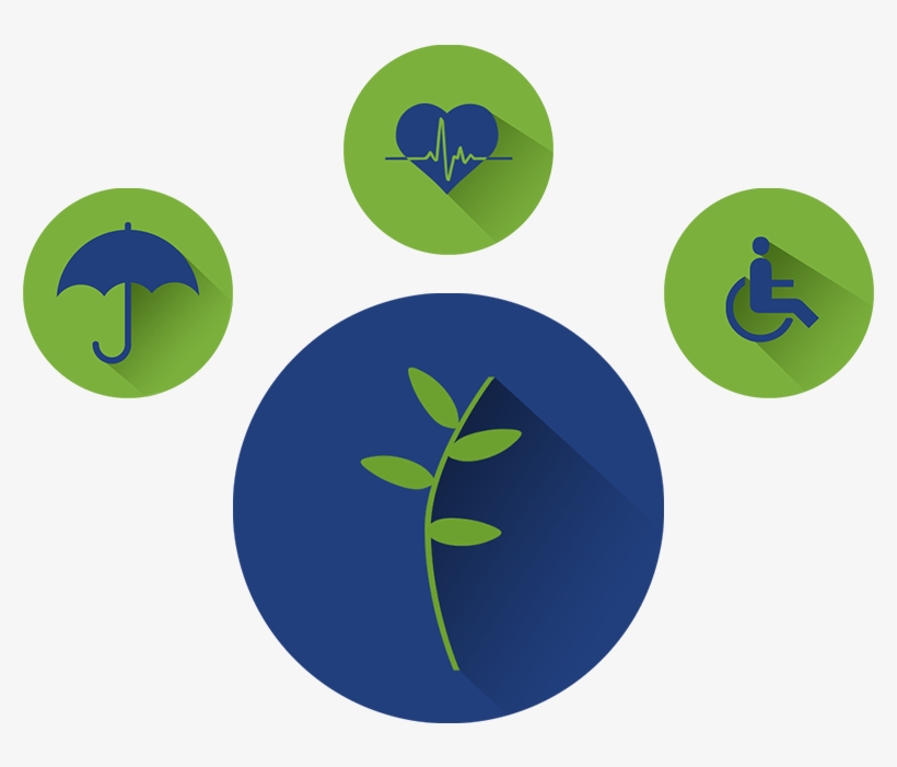 Insurance Services Page Icon - Insurance Term Icon, transparent png #2081253