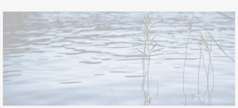 Water-background - - Water, transparent png #2083631