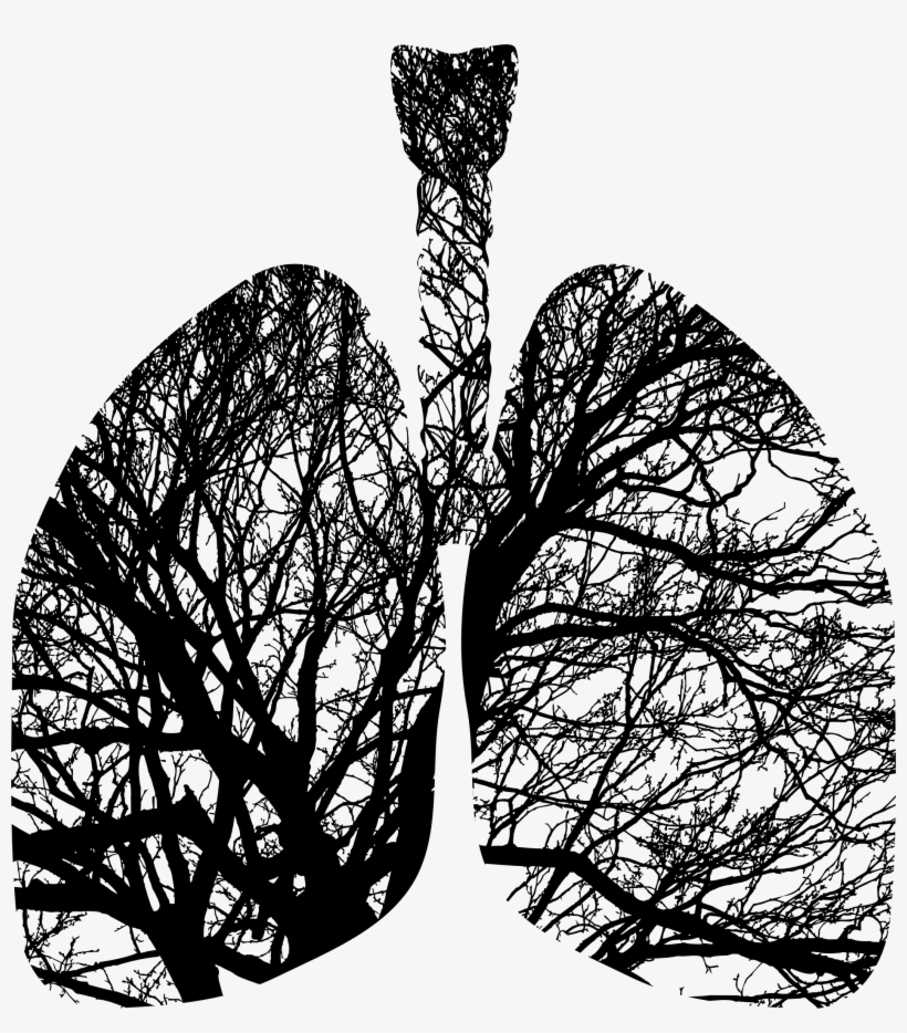 This Free Icons Png Design Of Lungs Branches, transparent png #2084987