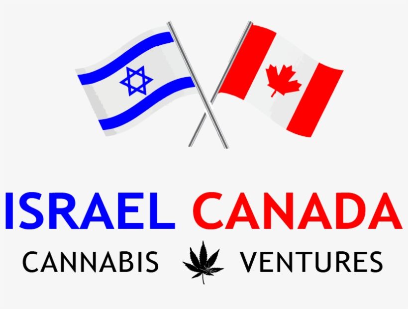 Cropped Cannabis Logo With Trebuchet Font 1 - Higher Education Institutions Examination, transparent png #2085300