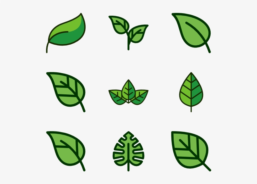 Leaf, transparent png #2087229