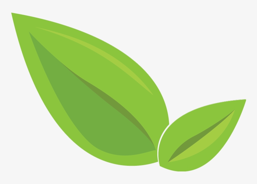 Leaf Icon 2 - Wangaratta, transparent png #2087429