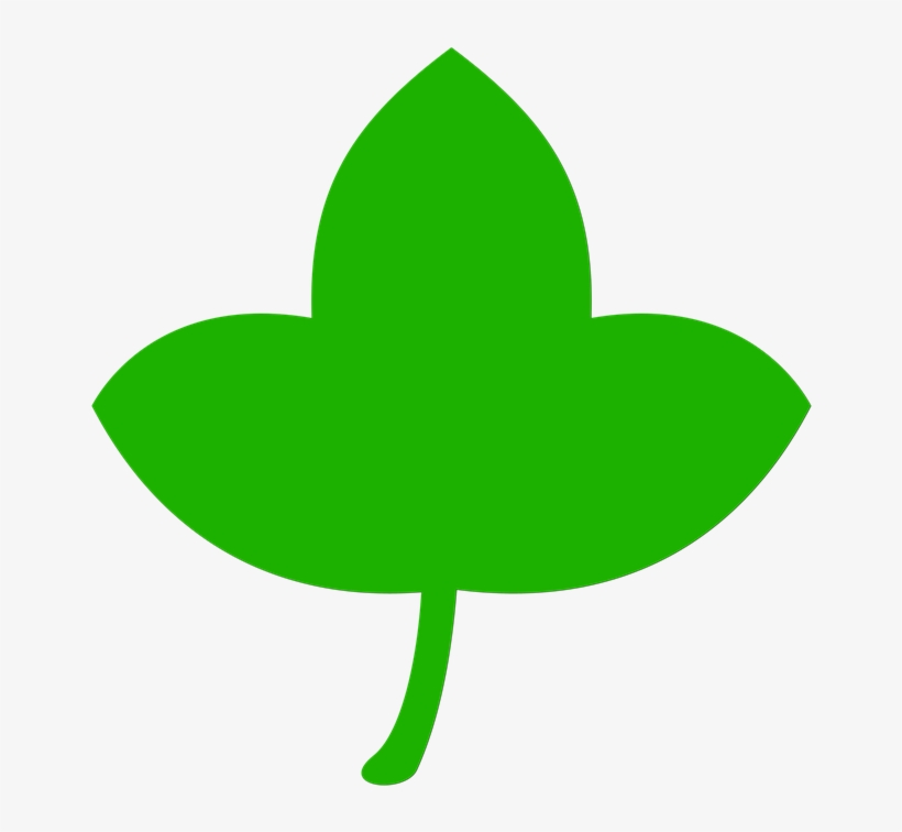 Icon, Leaf, Green, Tree, Nature, Leaves, Plant - Leaf, transparent png #2087777