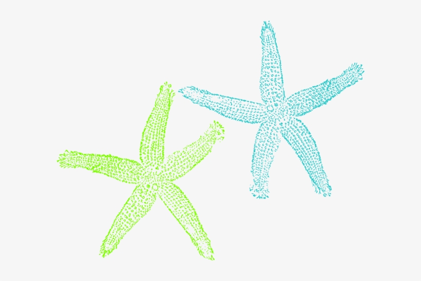 And Lime Green Starfish Png Clip, transparent png #2088539