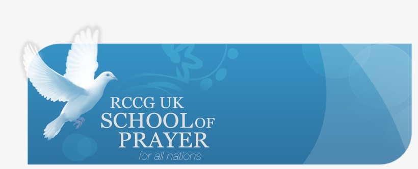 Killing John The Baptist By Matthew Peters, transparent png #2089703