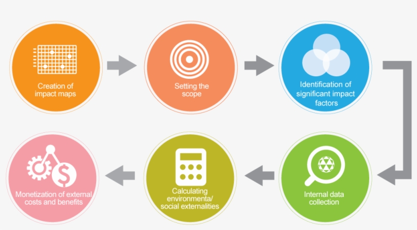 Identification Process For True Value - Business, transparent png #2090411