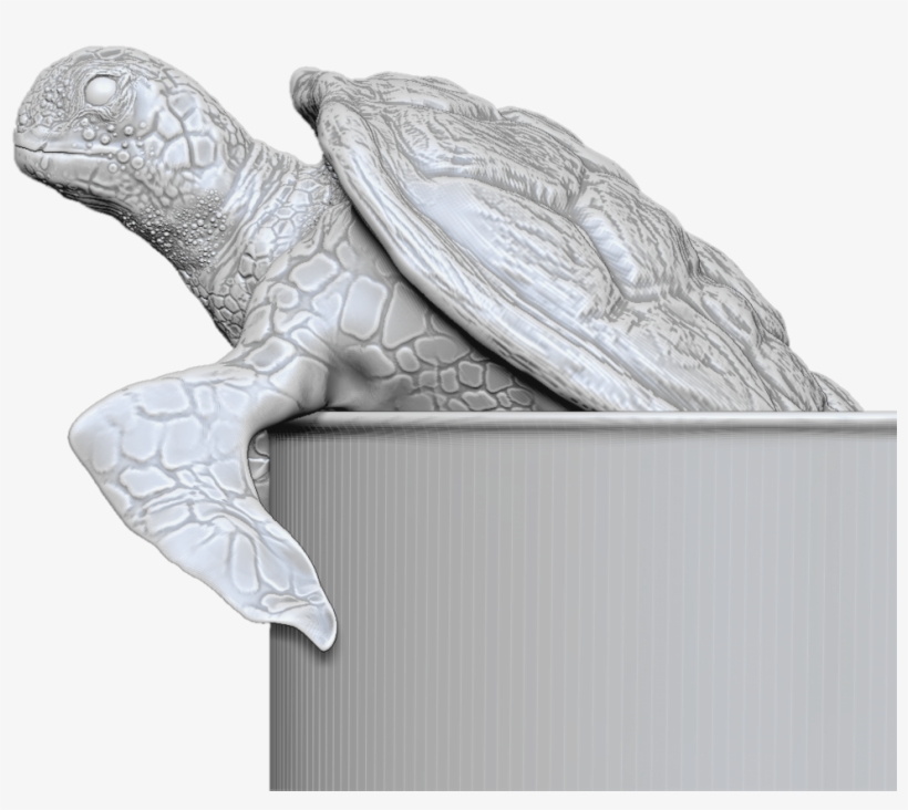 Turtle Face, transparent png #2090967