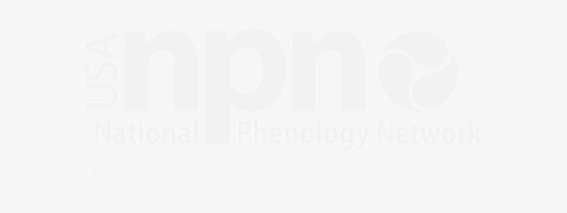 Png - Poster, transparent png #2090988