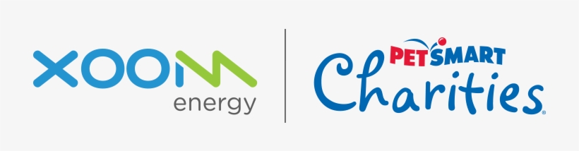 Is On A Mission To Help End Pet Homelessness And Connect - Grreat Choice Petsmart Jumbo Tennis Ball Dog Toy (color, transparent png #2094051