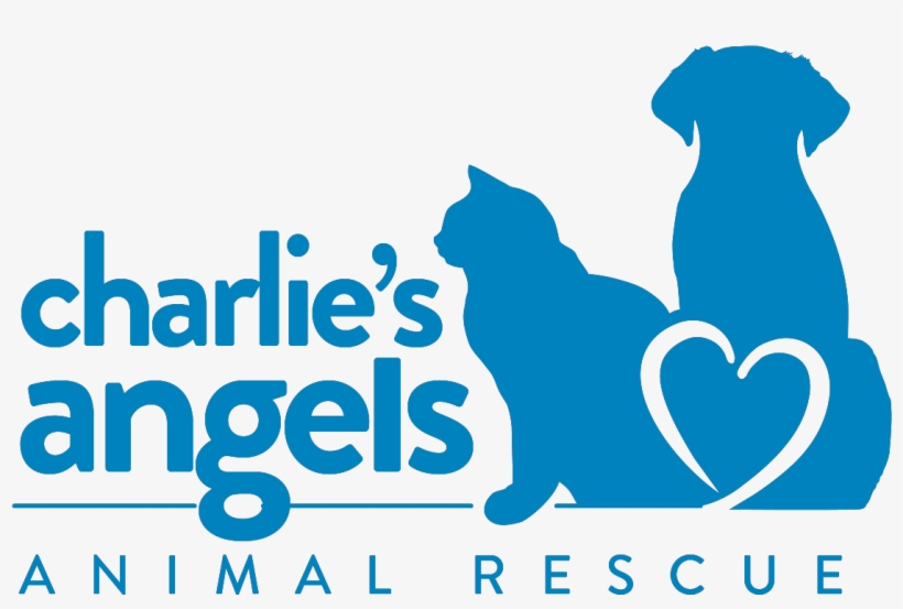 Charlie's Angels Animal Rescue, transparent png #2094736