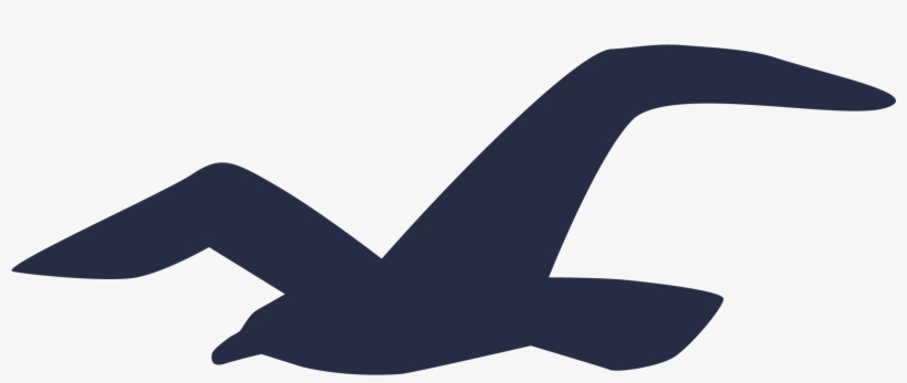 hollister logo