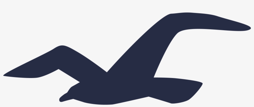 Hollister Logo - Hollister Logo Png, transparent png #2094932