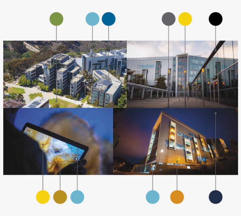 Uc San Diego's Surroundings Provide A Richness Of Color - Collage, transparent png #2095534