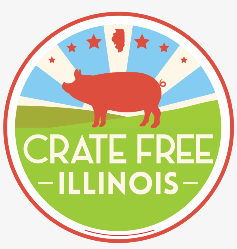 Crate Free Illinois - Crate, transparent png #2096341