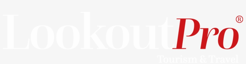 Bamboo Forest, transparent png #2096549