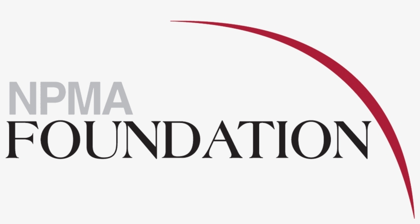 Nes Property Challenge T-shirts - Foundation, transparent png #2097264