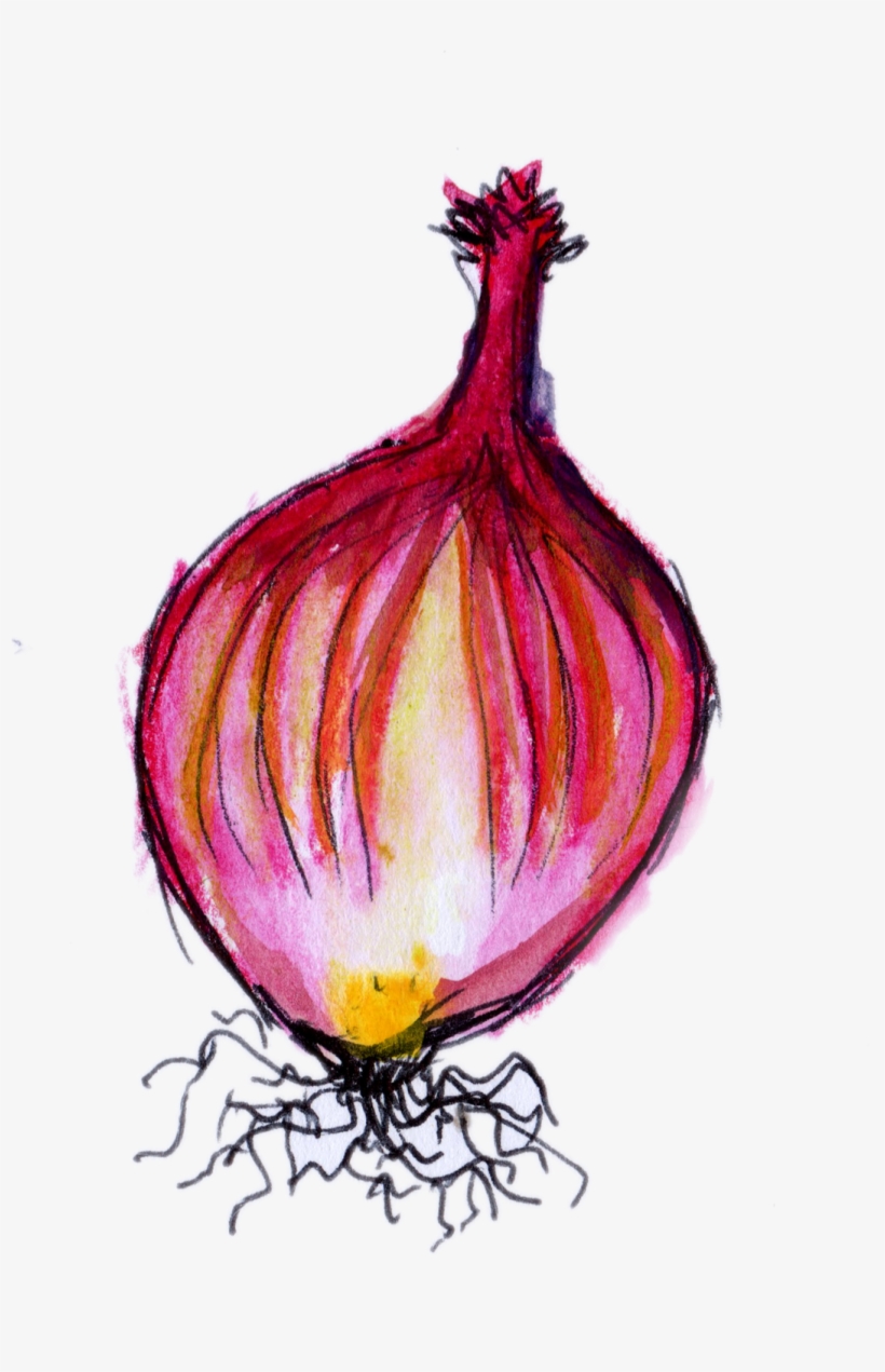 Raster And Vector - Red Onion, transparent png #210216