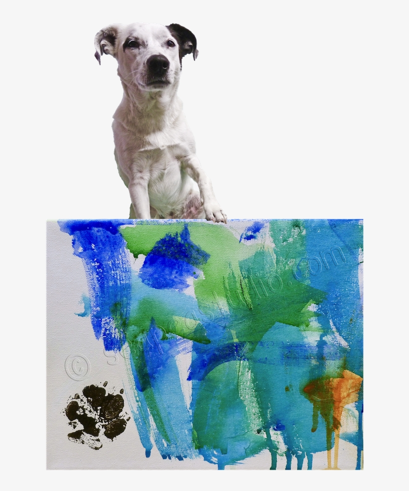Working Dog, transparent png #210542