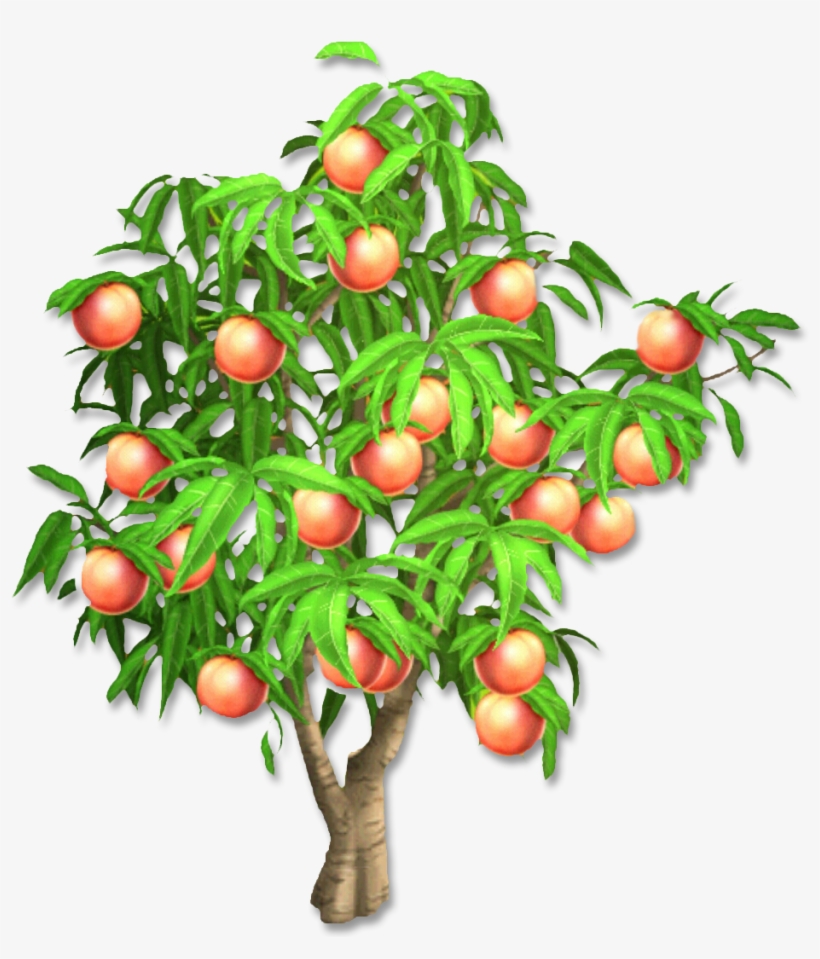Peach Tree - Hay Day Peach Tree, transparent png #210873