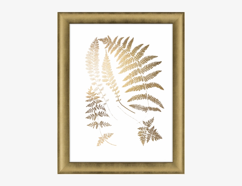 Gold Foil Ferns Ii - Ashton Wall Décor Llc Trends 'gold Foil Ferns Ii' Framed, transparent png #210900