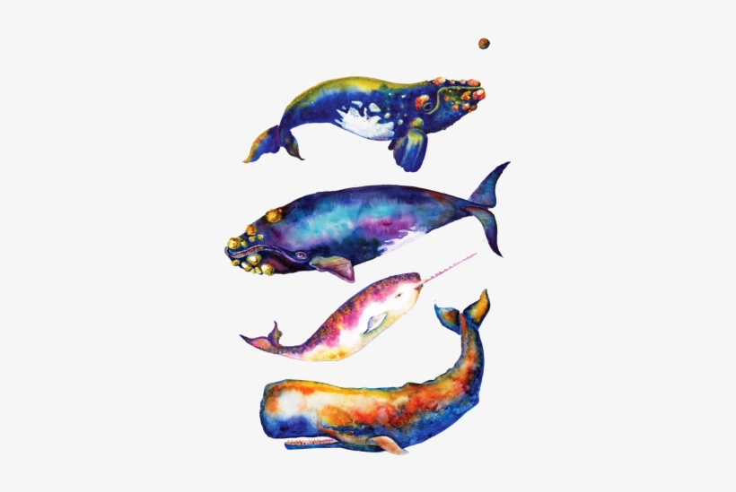Watercolor Whales - - Whale Pyramid #4 - Watercolor Whales Canvas Print -, transparent png #210925