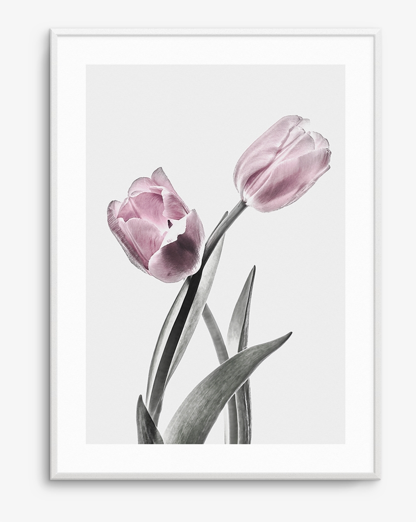 Pink Tulip Illustration No Ii - Illustration, transparent png #210970
