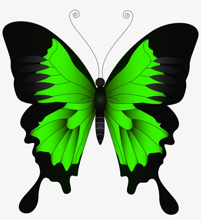 Png Clip Art Image Gallery Yopriceville High - Butterfly Violet, transparent png #210988