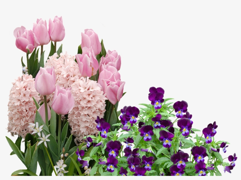 Easter Flower Png - Easter Flowers Png, transparent png #211166