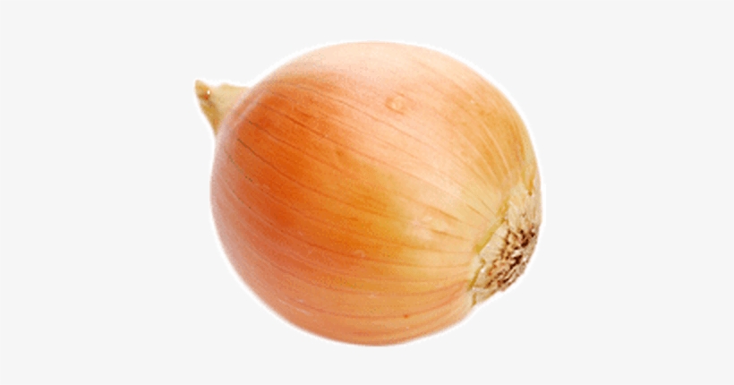 Single Onion - Transparent Transparent Background Onion, transparent png #211215