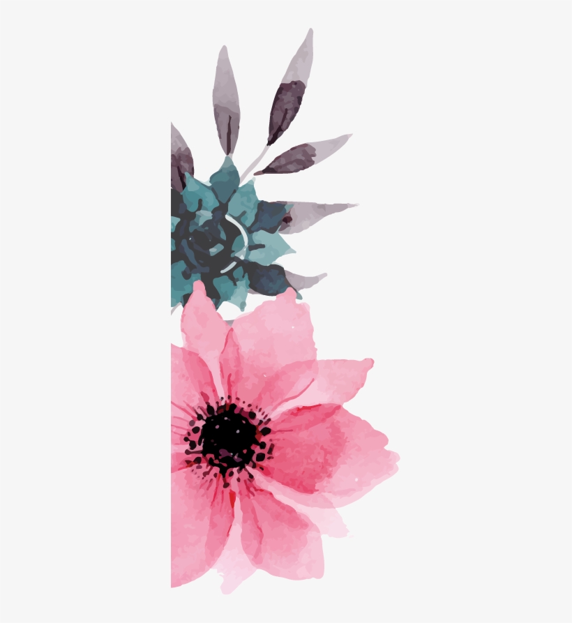 Collections - Poppy, transparent png #211688