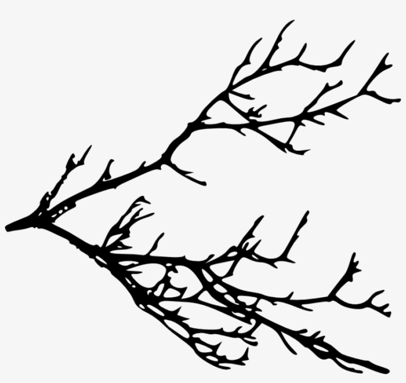 Free Png Tree Branches Silhouette Png Images Transparent - Tree Branches Silhouette Png, transparent png #211912