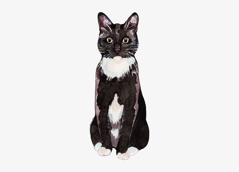 White, Cat And Wallpaper Image On We Heart It - Watercolor Black And White Cat, transparent png #212216