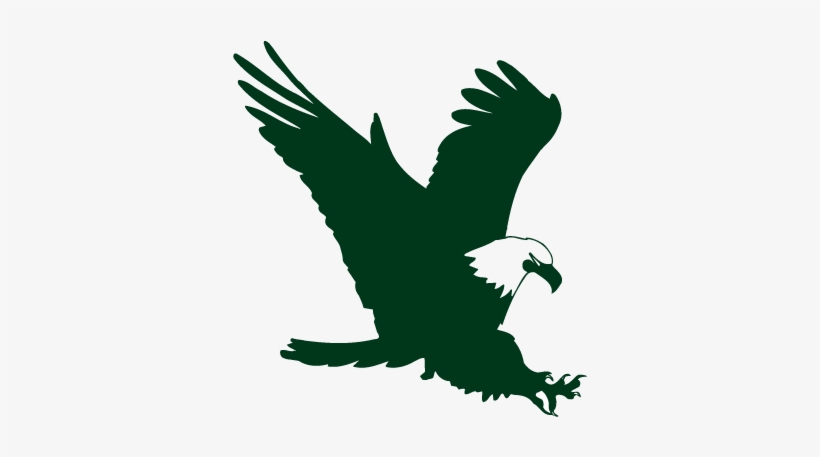 Swift Eagle Charitable Foundation - Green Eagle Logo Png, transparent png #212646