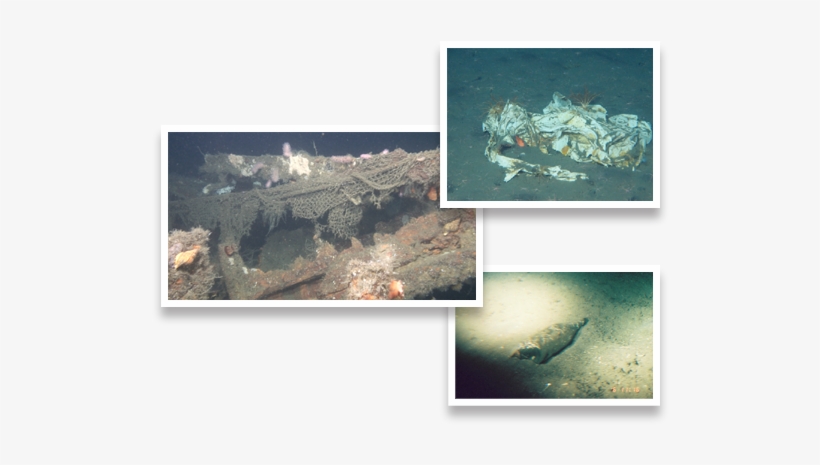 Deep Sea, transparent png #212787