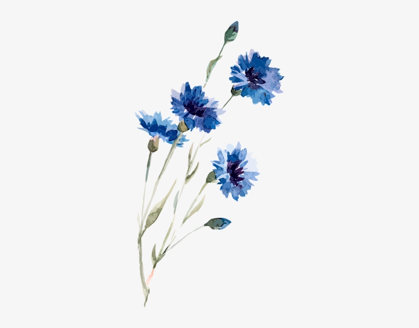 Download Watercolor Painting Illustration Flowers - Watercolor ...
