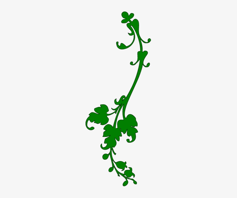 Vine Png Clip - Transparent Background Vines Clipart, transparent png #213048