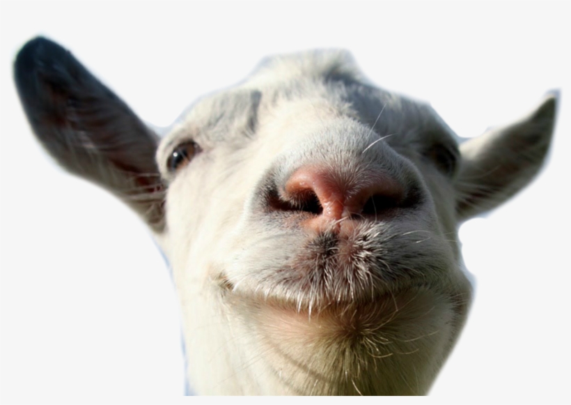 Funny Goat Png - Goat Simulator, transparent png #213318