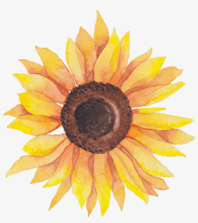 Svg Library Library Self Portraits Catherine Holmes - Watercolor Sunflower Transparent, transparent png #213743