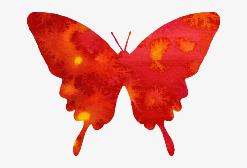 Butterfly Clipart Red Watercolor Cute Flyi - ผีเสื้อ ภาพ ตัด ปะ, transparent png #213984
