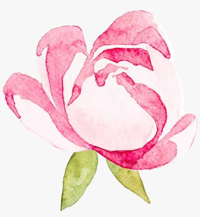 1 - Garden Roses, transparent png #214339