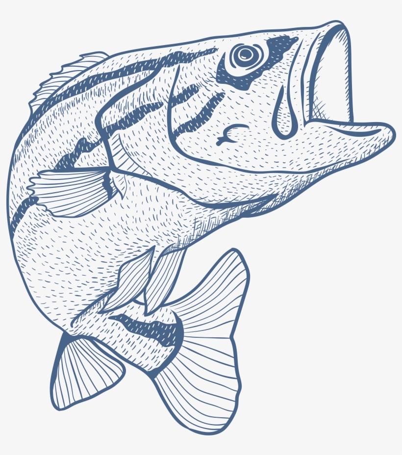 Fishing Rod Sketch Fish - Do Not Microwave Fish, transparent png #214644