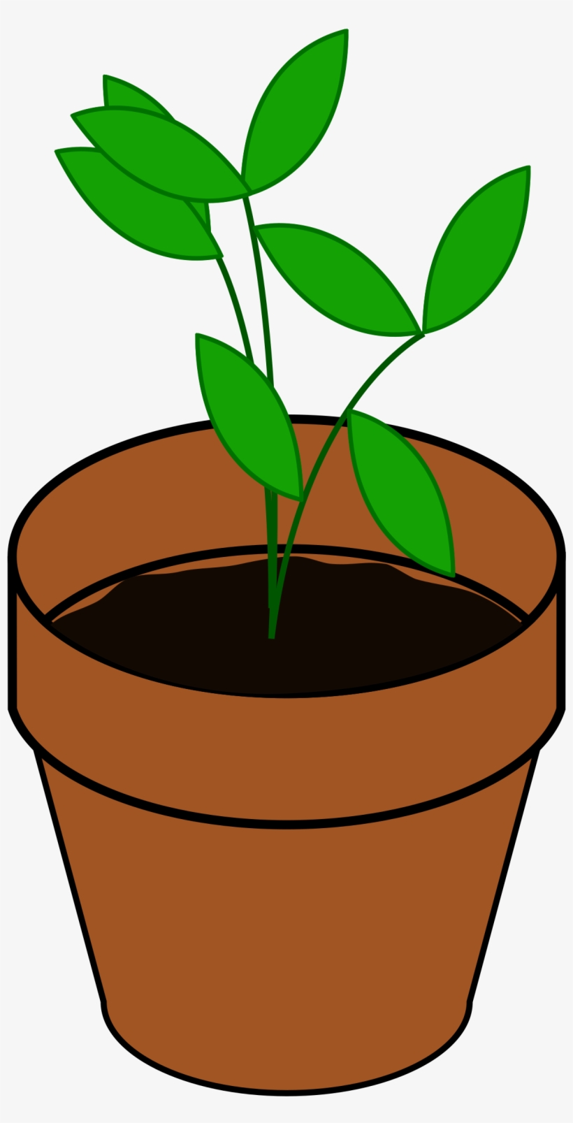 Pot Plant Clipart Terracotta - Plant Clip Art, transparent png #214827