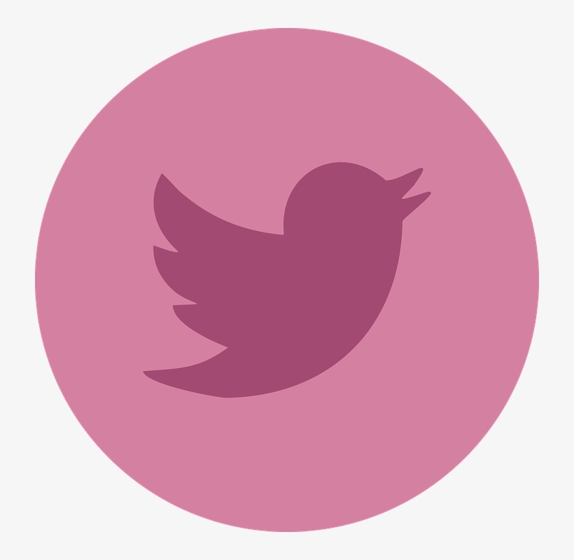 Twitter, Social Media, Social, Networking, Internet - Twitter Pink Logo Png, transparent png #215004