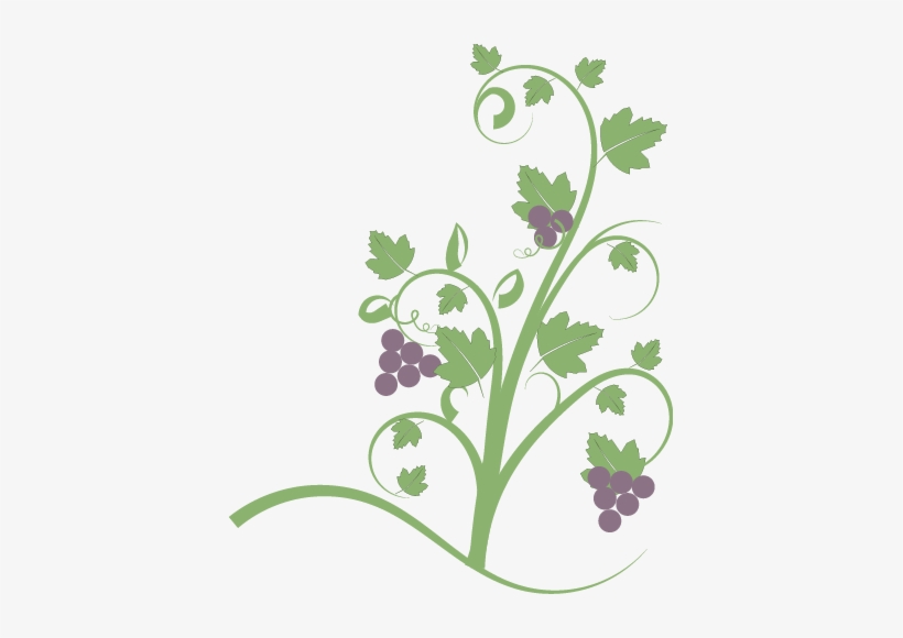 Free Fruit Clipart, Animations And Vectors - Vine With Fruit Clip Art, transparent png #215808