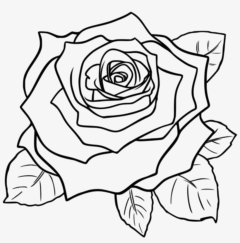 White Rose Clipart Line Art - Rose Flower Clipart Black And White, transparent png #216055