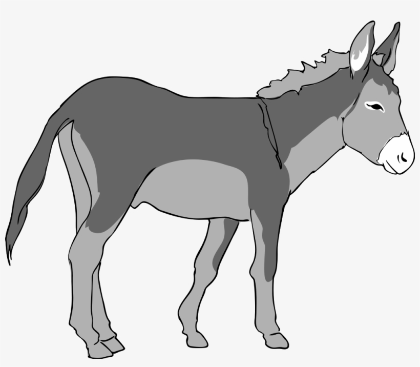 Donkey Panda Free Images Donkeys - Donkey Clipart, transparent png #216343