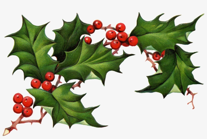 Free Download Christmas Ivy Clipart - Christmas Elements Png, transparent png #216567